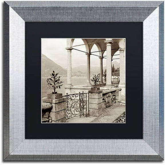 Trademark Fine Art "Lombardy VII" Canvas Art by Alan Blaustein, Black Matte, Silver Frame