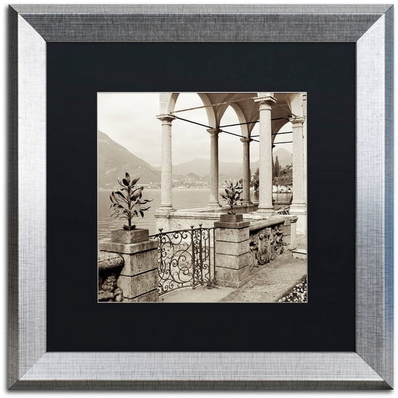 Trademark Fine Art "Lombardy VII" Canvas Art by Alan Blaustein, Black Matte, Silver Frame