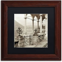 Trademark Fine Art "Lombardy VII" Canvas Art by Alan Blaustein, Black Matte, Wood Frame