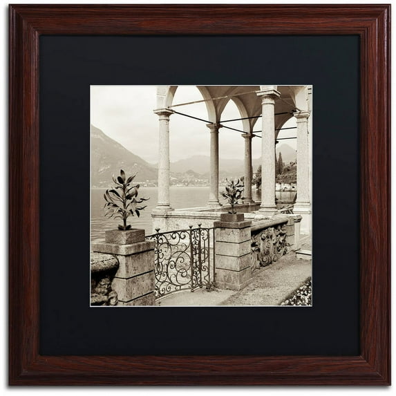Trademark Fine Art "Lombardy VII" Canvas Art by Alan Blaustein, Black Matte, Wood Frame