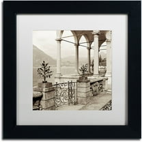 Trademark Fine Art "Lombardy VII" Canvas Art by Alan Blaustein, White Matte, Black Frame