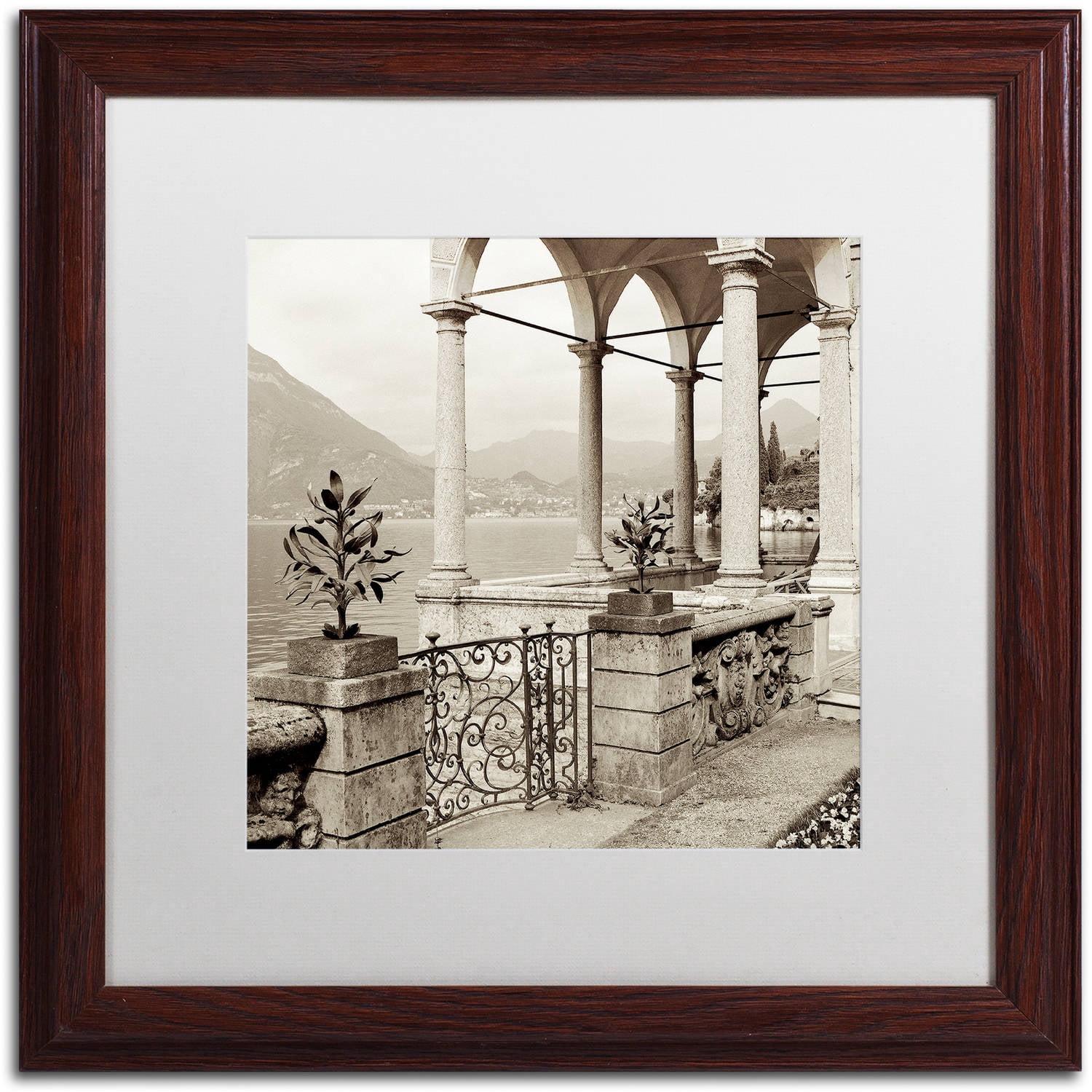 Trademark Fine Art "Lombardy VII" Canvas Art by Alan Blaustein, White Matte, Wood Frame