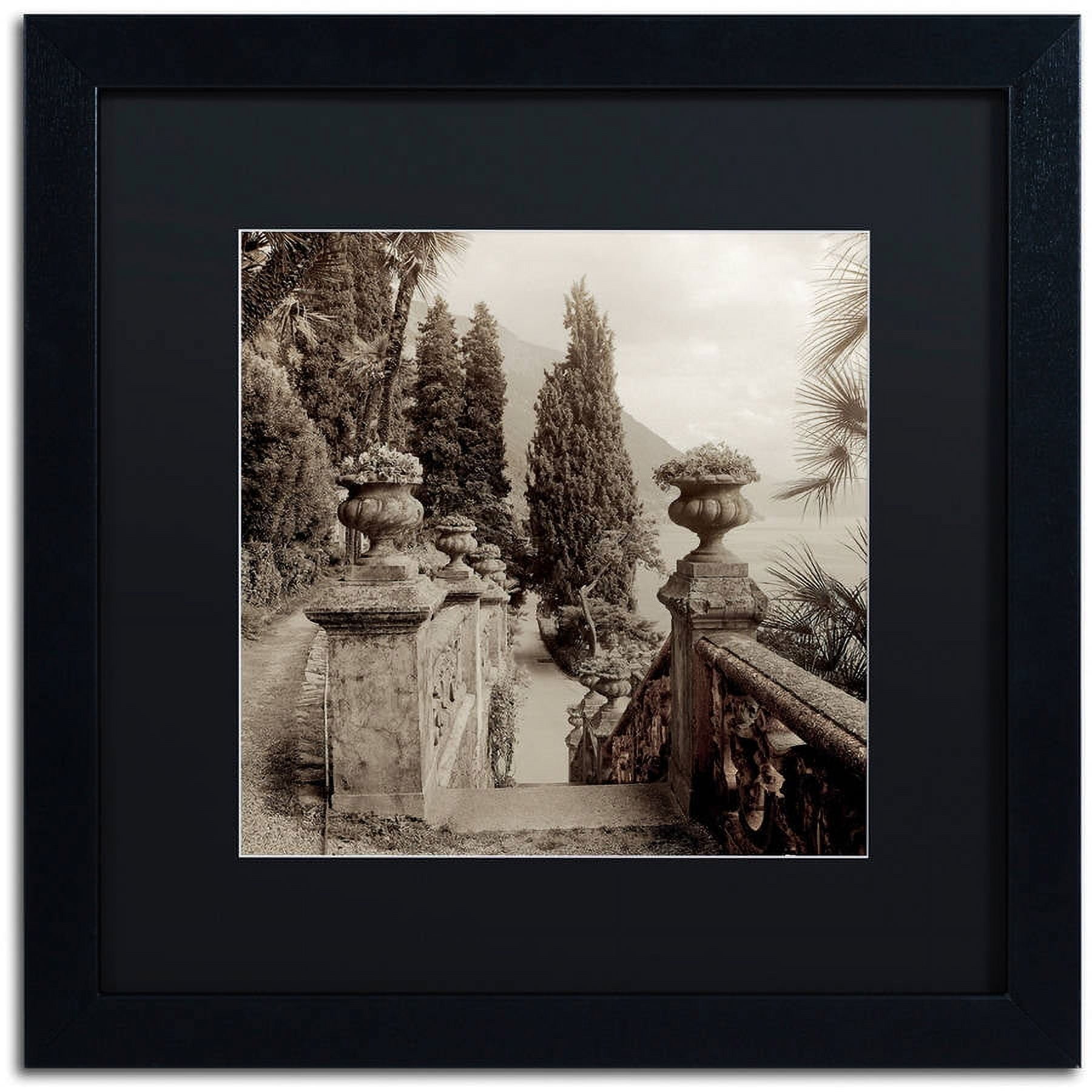 Trademark Fine Art "Lombardy VIII" Canvas Art by Alan Blaustein, Black Matte, Black Frame