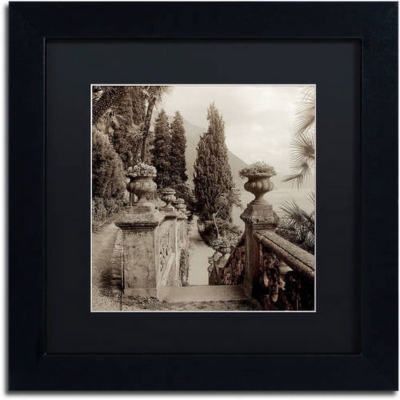 Trademark Fine Art "Lombardy VIII" Canvas Art by Alan Blaustein, Black Matte, Black Frame