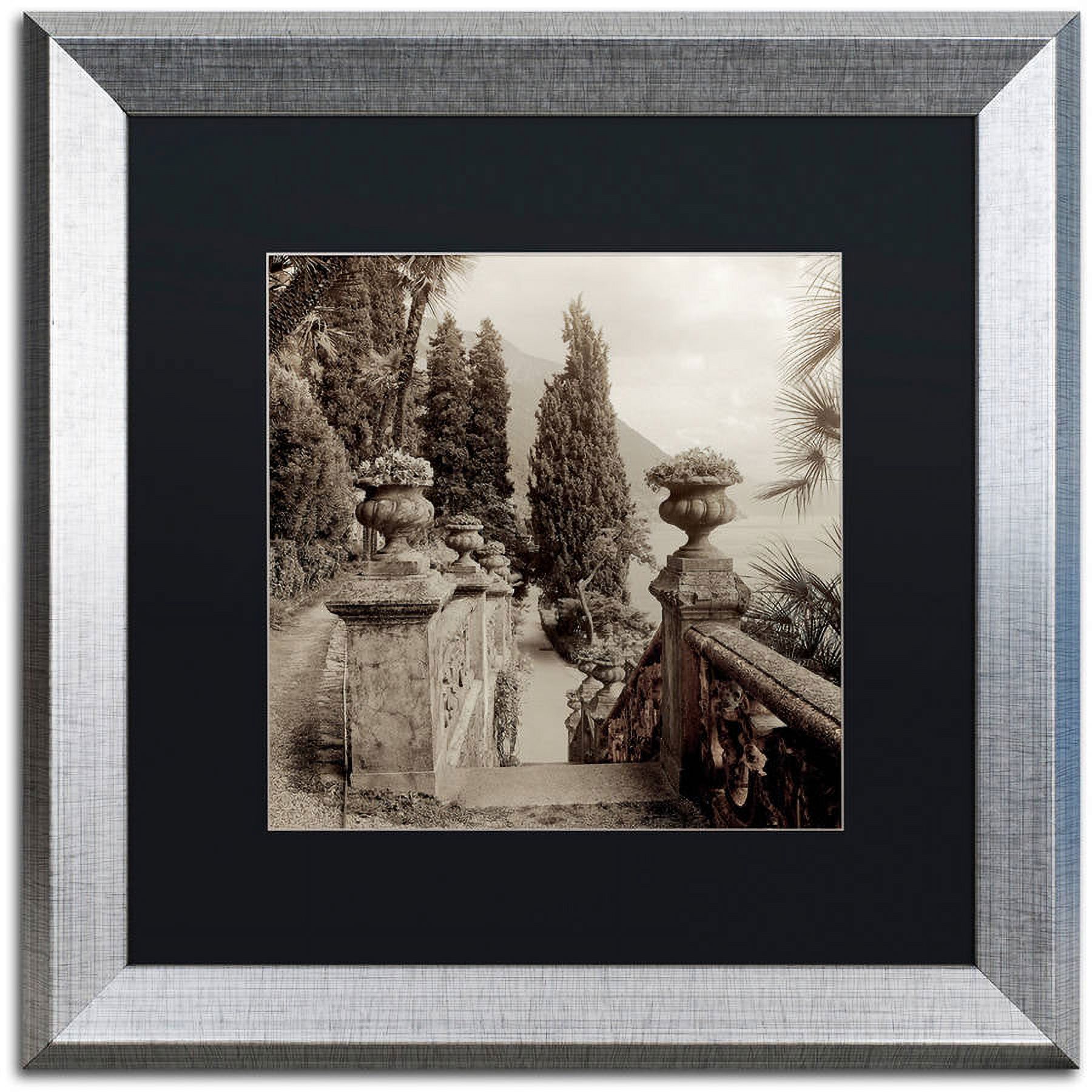 Trademark Fine Art "Lombardy VIII" Canvas Art by Alan Blaustein, Black Matte, Silver Frame