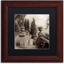 Trademark Fine Art "Lombardy VIII" Canvas Art by Alan Blaustein, Black Matte, Wood Frame
