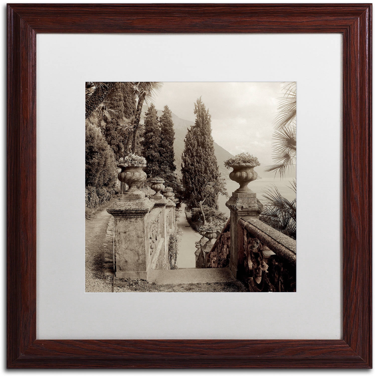 Trademark Fine Art "Lombardy VIII" Canvas Art by Alan Blaustein, White Matte, Wood Frame