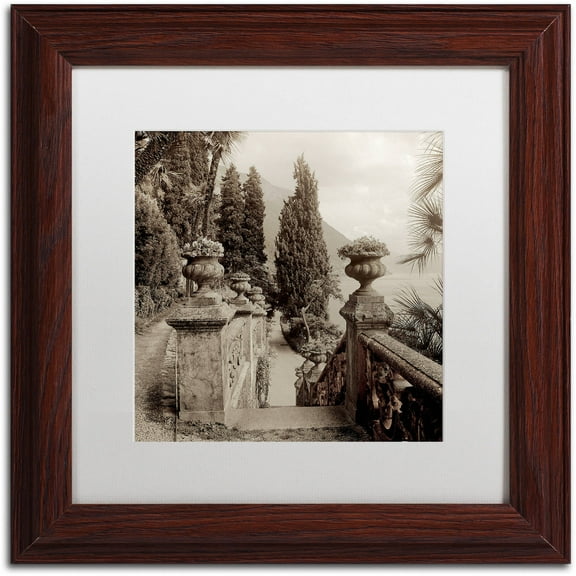 Trademark Fine Art "Lombardy VIII" Canvas Art by Alan Blaustein, White Matte, Wood Frame