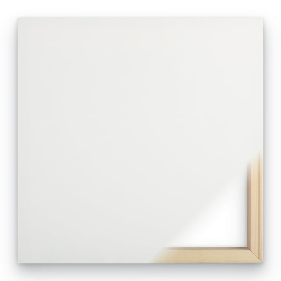 Trademark Fine Art "Lombardy VIII" Canvas Art by Alan Blaustein