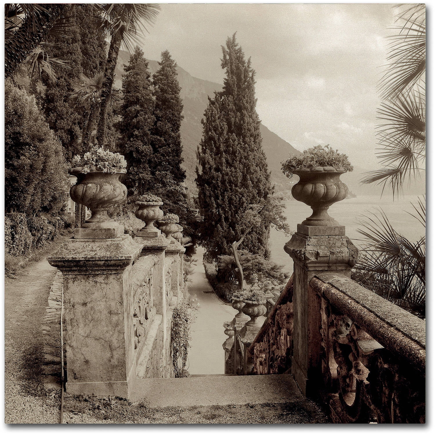 Trademark Fine Art "Lombardy VIII" Canvas Art by Alan Blaustein