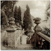 Trademark Fine Art "Lombardy VIII" Canvas Art by Alan Blaustein