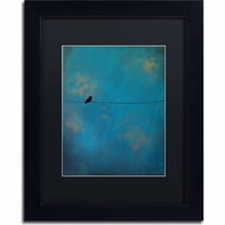 Trademark Fine Art "Lone Bird Blue" Canvas Art by Nicole Dietz, Black Matte, Black Frame
