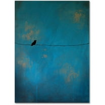Trademark Fine Art "Lone Bird Blue" Canvas Art by Nicole Dietz