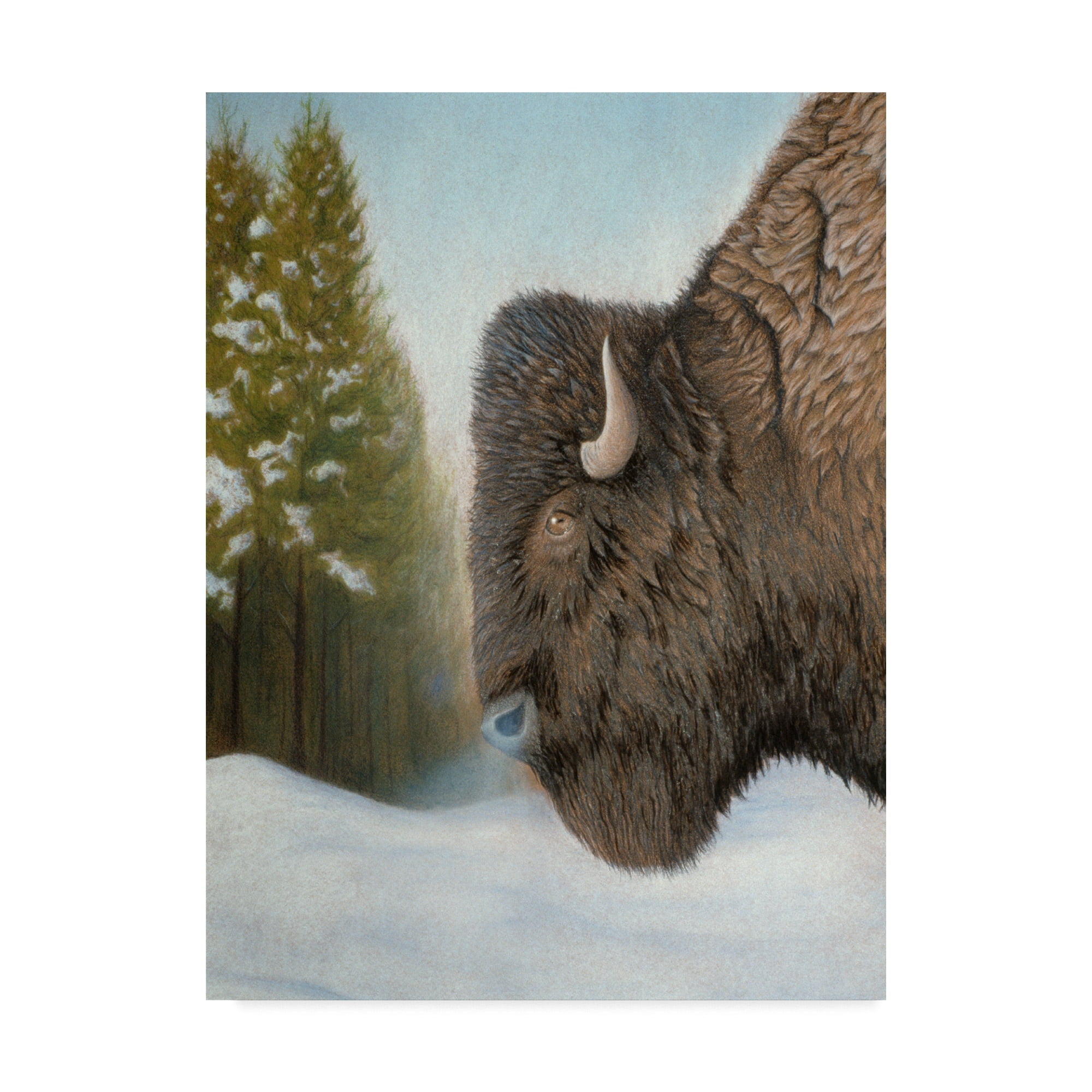 Trademark Fine Art 'Lone Buffalo' Canvas Art by Rusty Frentner