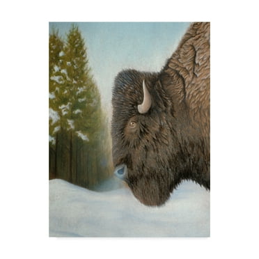 Trademark Fine Art 'Lone Buffalo' Canvas Art by Rusty Frentner