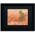 thumbnail image 1 of Trademark Fine Art "Lone Survivor" Canvas Art by Michael Blanchette Photography Black Matte, Black Frame, 1 of 4