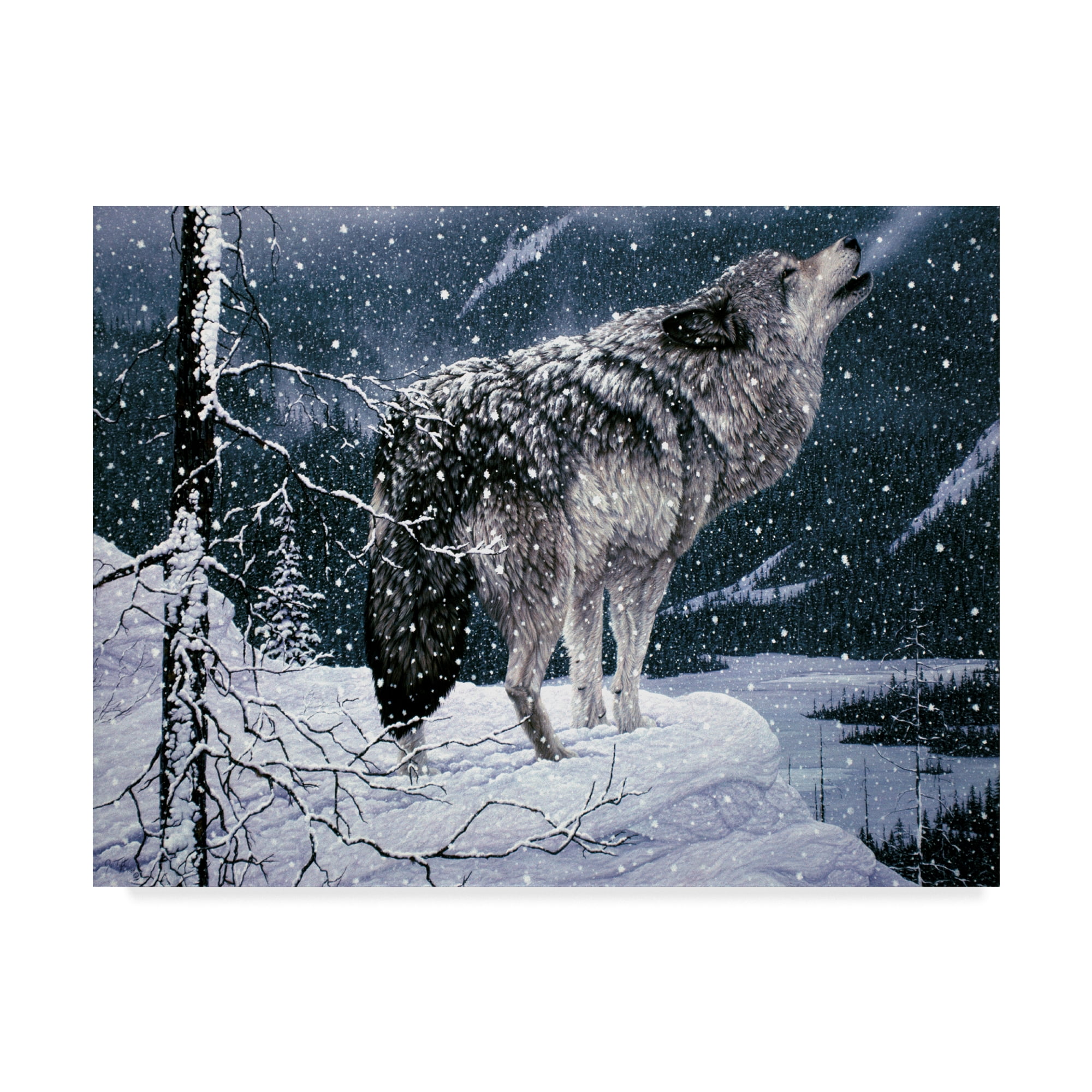 Trademark Fine Art 'Lone Wolf' Canvas Art by Jeff Tift