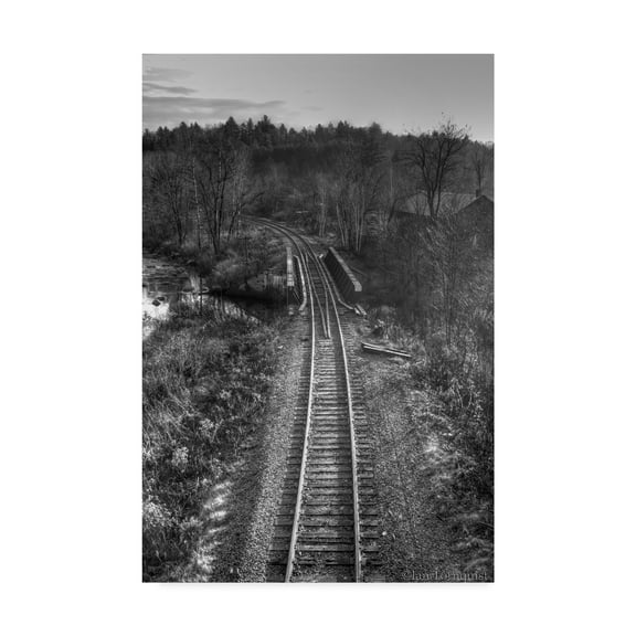 Trademark Fine Art 'Lonely Tracks Grayscale' Canvas Art by Ian Tornquist