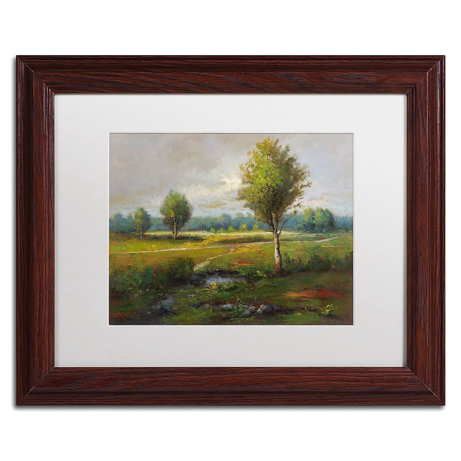 Trademark Fine Art "Lonely Tree" Canvas Art by Daniel Moises, White Matte, Wood Frame