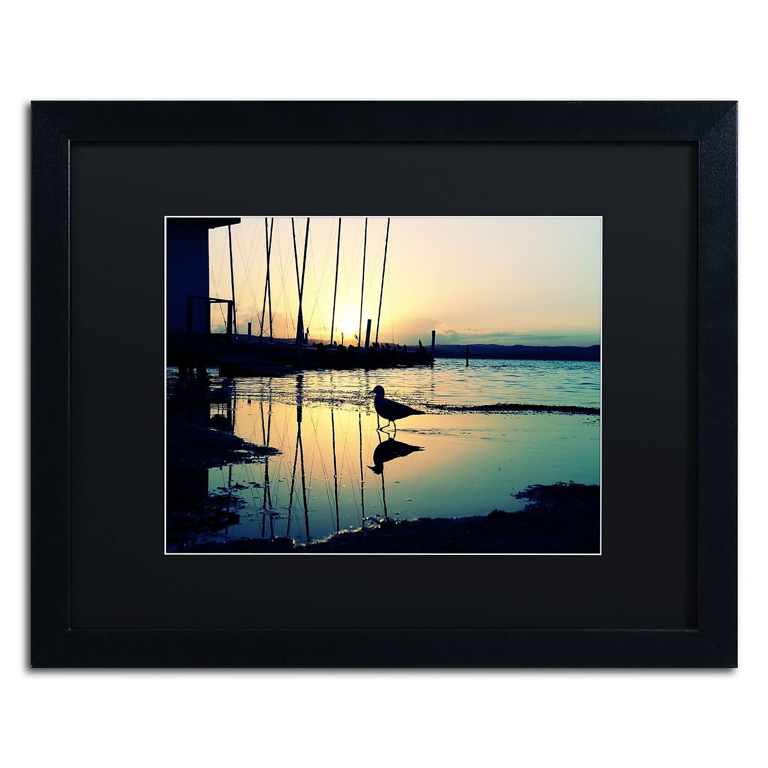 Trademark Fine Art "Lonely at Sunset" Canvas Art by Beata Czyzowska Young, Black Matte, Black Frame