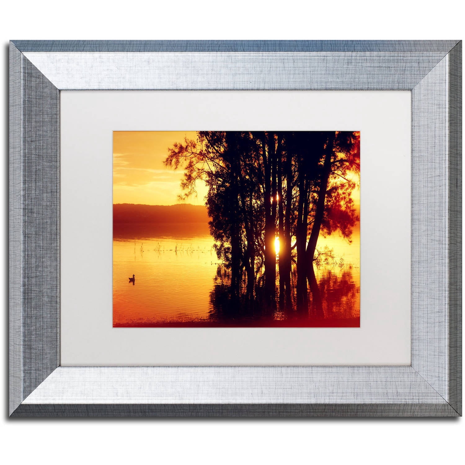 Trademark Fine Art "Lonely at Sunset" Canvas Art by Beata Czyzowska Young, White Matte, Silver Frame
