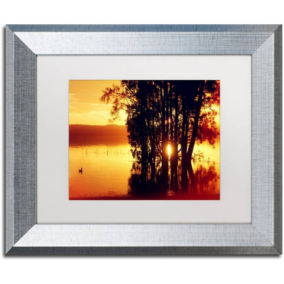 Trademark Fine Art "Lonely at Sunset" Canvas Art by Beata Czyzowska Young, White Matte, Silver Frame