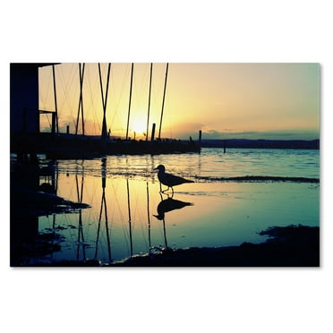 Trademark Fine Art "Lonely at Sunset" Canvas Art by Beata Czyzowska Young