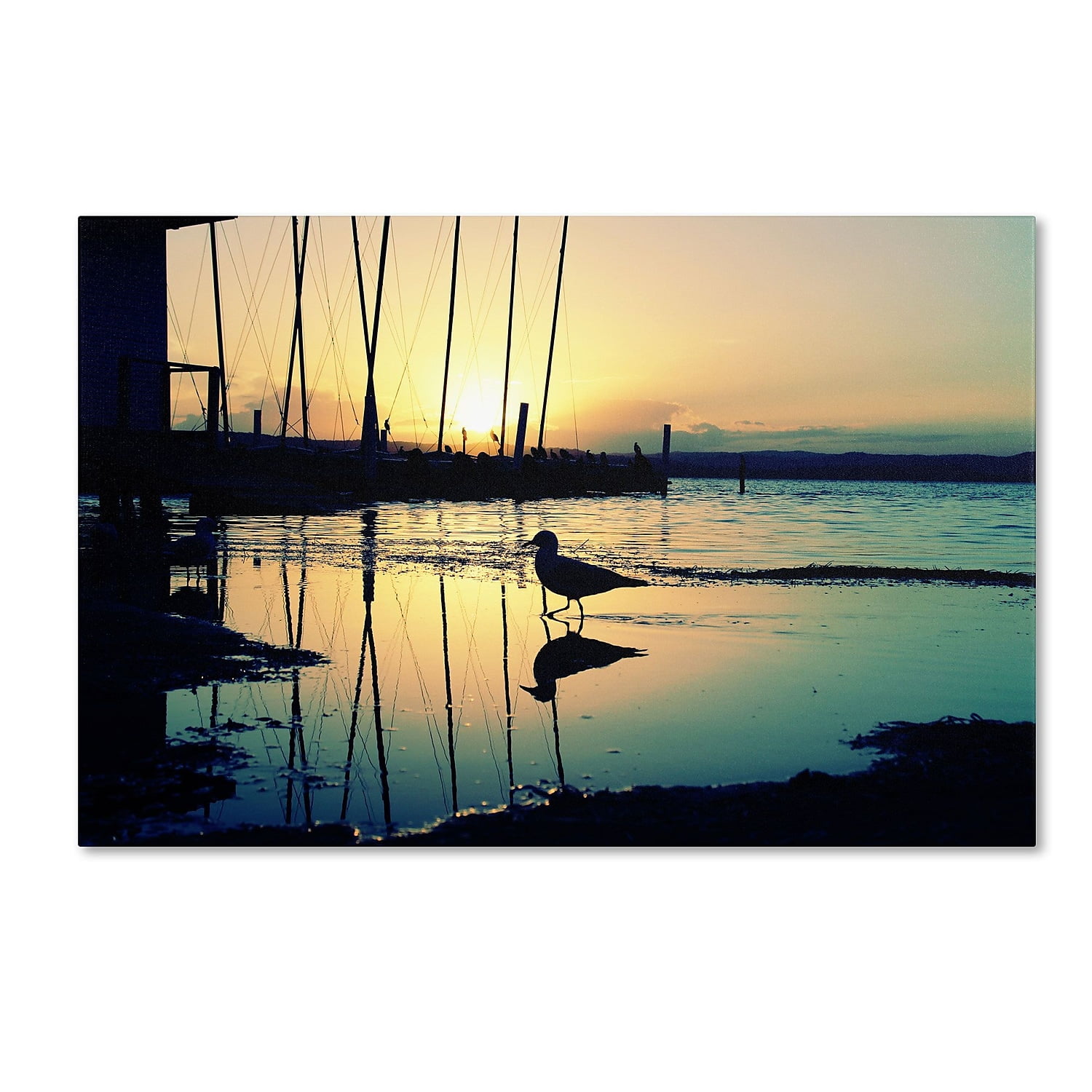 Trademark Fine Art "Lonely at Sunset" Canvas Art by Beata Czyzowska Young