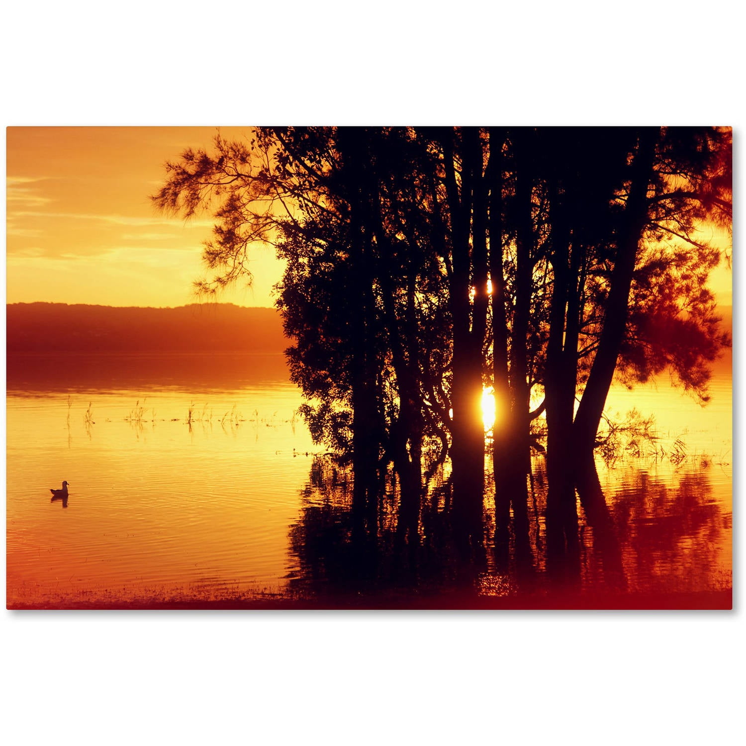 Trademark Fine Art "Lonely at Sunset" Canvas Art by Beata Czyzowska Young