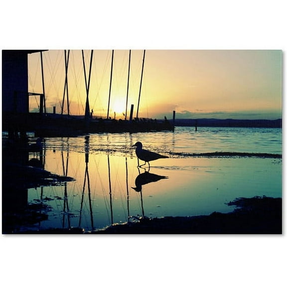 Trademark Fine Art "Lonely at Sunset" Canvas Art by Beata Czyzowska Young