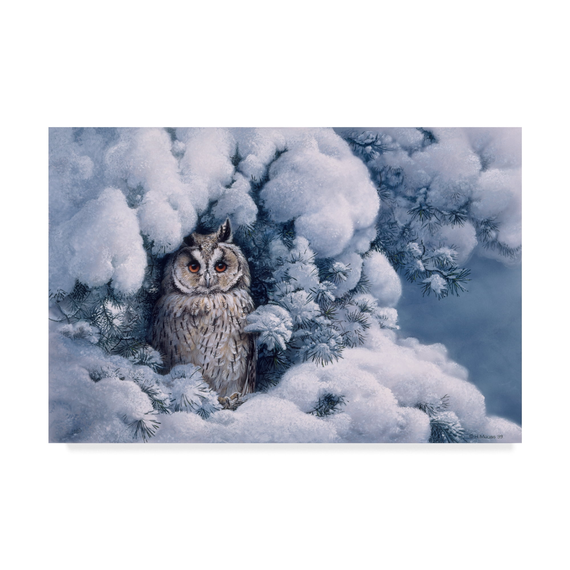 Trademark Fine Art 'Long Eared Owl In Snow' Canvas Art by Harro Maass