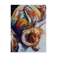 thumbnail image 1 of Trademark Fine Art 'Longhorn Abstract' Canvas Art by Marcia Baldwin, 1 of 3