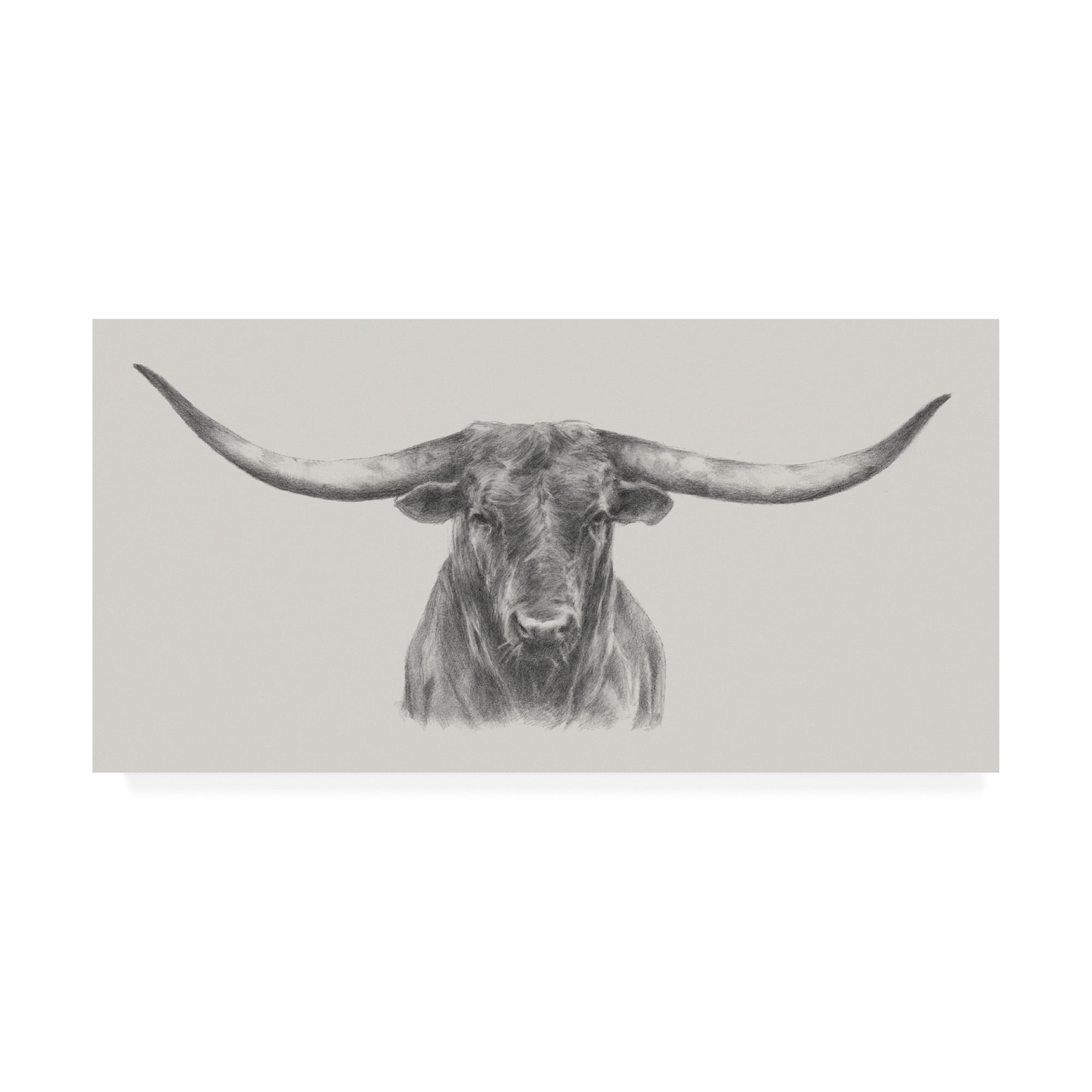 Trademark Fine Art 'Longhorn Bull' Canvas Art by Ethan Harper