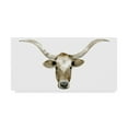 thumbnail image 1 of Trademark Fine Art 'Longhorn Steer II' Canvas Art by Grace Popp, 1 of 4