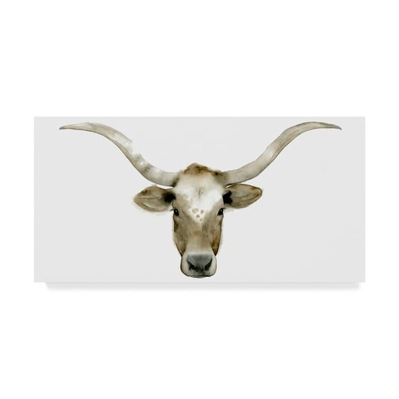 Trademark Fine Art 'Longhorn Steer II' Canvas Art by Grace Popp