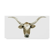 Trademark Fine Art 'Longhorn Steer II' Canvas Art by Grace Popp