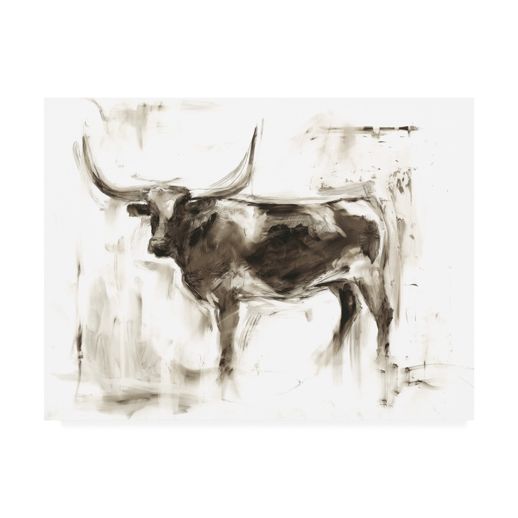 Trademark Fine Art 'Longhorn Study II' Canvas Art by Ethan Harper