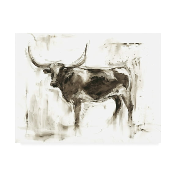 Trademark Fine Art 'Longhorn Study II' Canvas Art by Ethan Harper