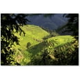 thumbnail image 1 of Trademark Fine Art "Longsheng" Canvas Art by Philippe Hugonnard, 1 of 1