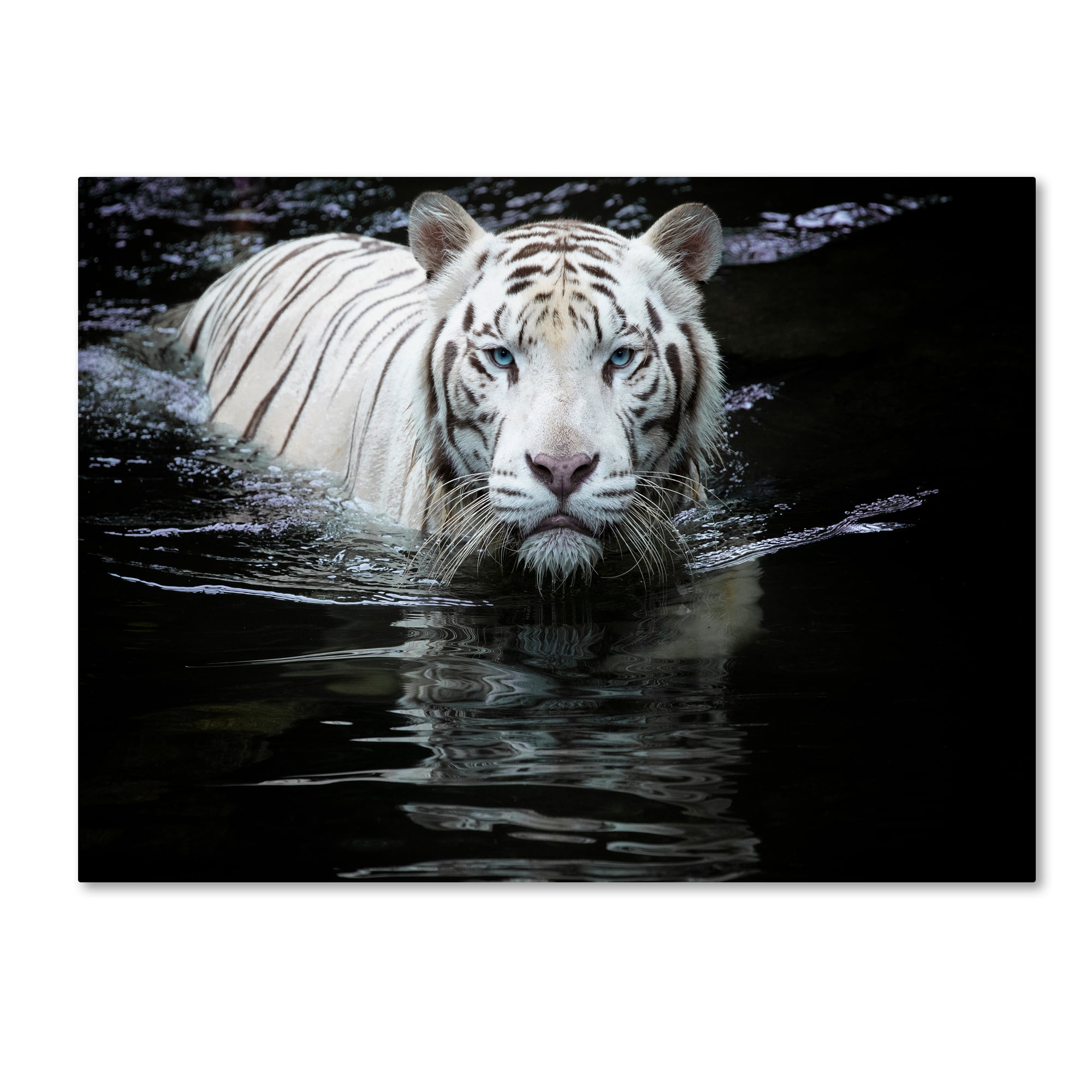 Trademark Fine Art 'Looking At Me Looking At You' Canvas Art by Renee Doyle