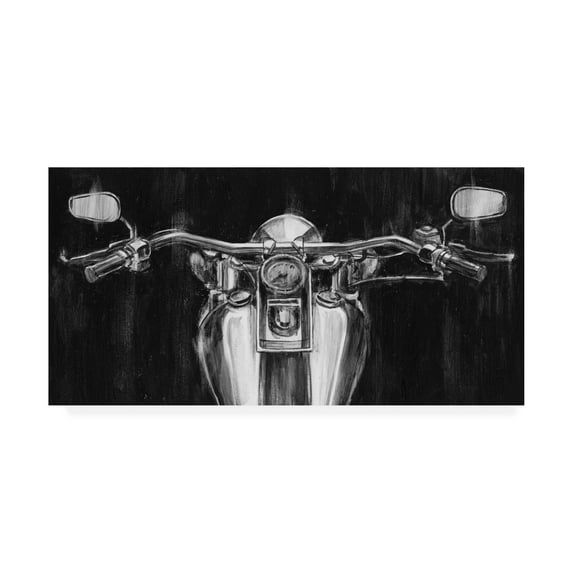 Trademark Fine Art 'Looking Forward II' Canvas Art by Ethan Harper