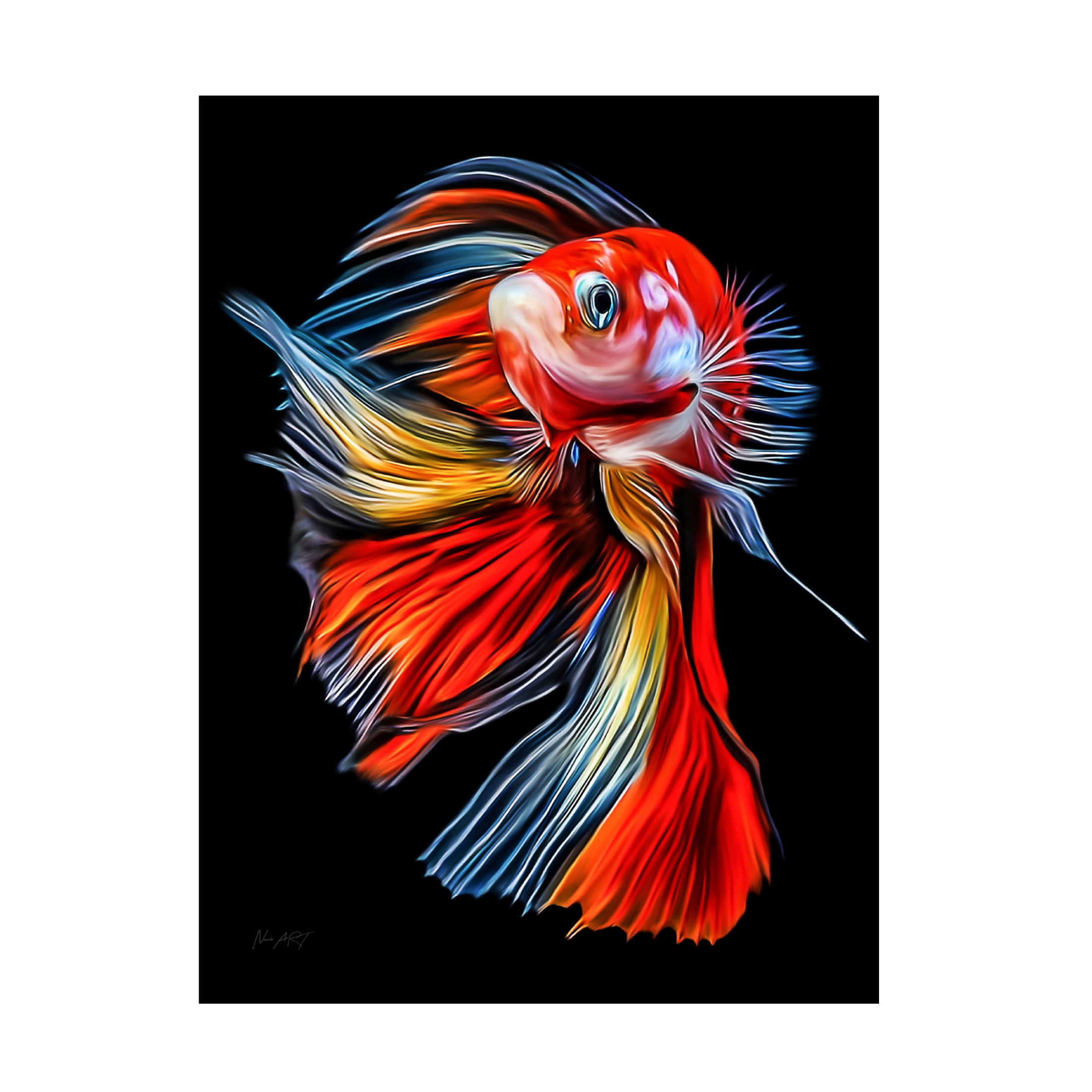Trademark Fine Art Lord Amihere Colorful Fish Canvas Wall Art