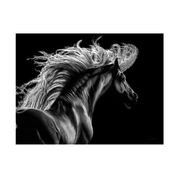 Trademark Fine Art Lord Amihere Le Equus Canvas Wall Art