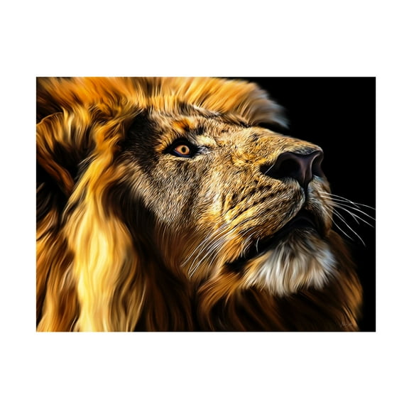 Trademark Fine Art Lord Amihere  Leo Canvas Wall Art