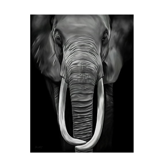 Trademark Fine Art Lord Amihere Loxodonta Canvas Wall Art