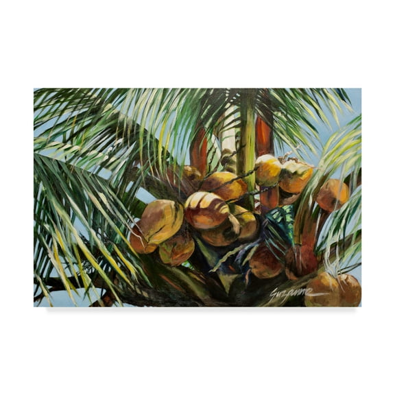 Trademark Fine Art 'Los Cocos' Canvas Art by Suzanne Wilkins
