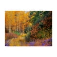 thumbnail image 1 of Trademark Fine Art 'Lost Canyon Larkspurs I' Canvas Art by Chris Vest, 1 of 4