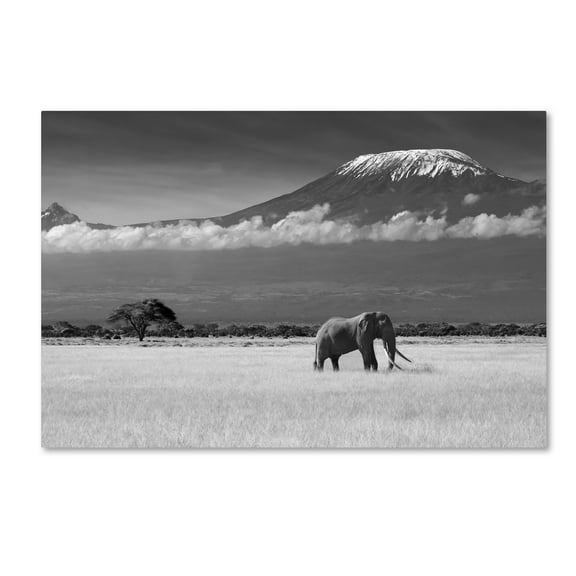 Trademark Fine Art 'Lost Colors Ii' Canvas Art by Ibrahim Canakci