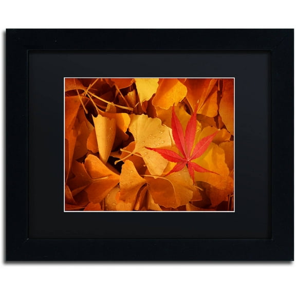 Trademark Fine Art "Lost & Found" Canvas Art by Philippe Sainte-Laudy Black Matte, Black Frame