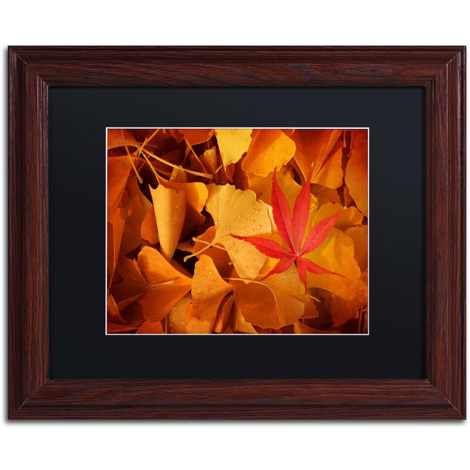 Trademark Fine Art "Lost & Found" Canvas Art by Philippe Sainte-Laudy Black Matte, Wood Frame